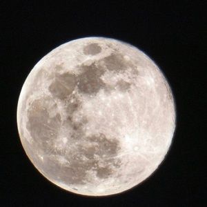 Meet your Posher, Alpana